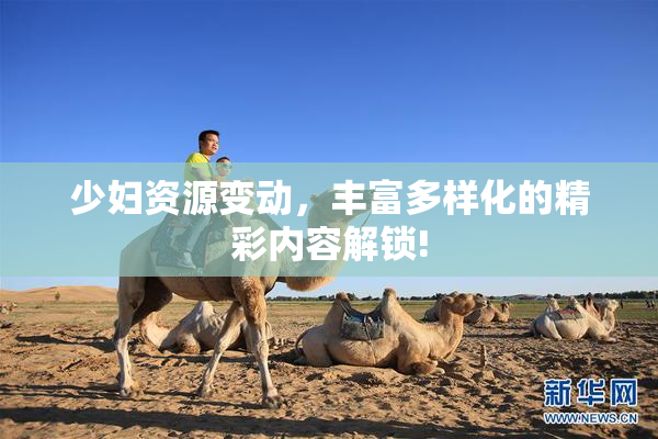 少妇资源变动，丰富多样化的精彩内容解锁!