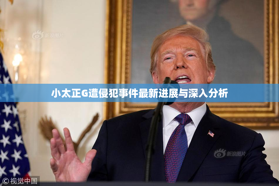 小太正G遭侵犯事件最新进展与深入分析