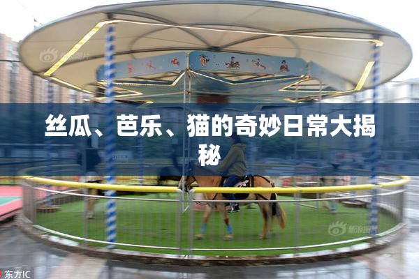 丝瓜、芭乐、猫的奇妙日常大揭秘