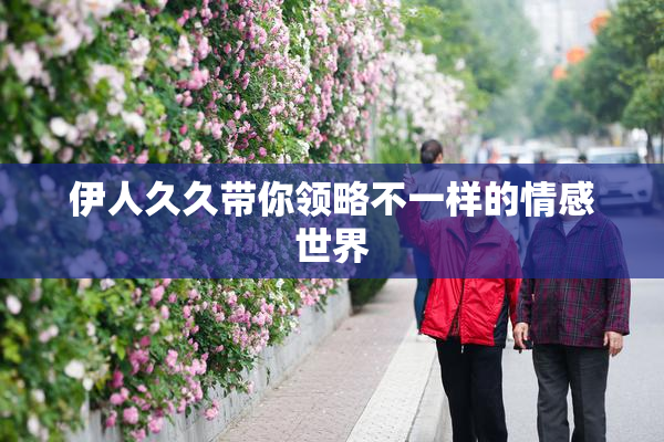 伊人久久带你领略不一样的情感世界