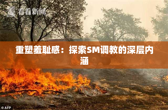 重塑羞耻感：探索SM调教的深层内涵