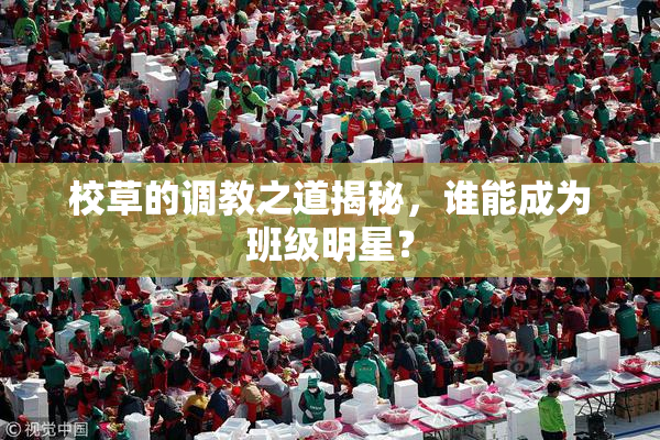 校草的调教之道揭秘，谁能成为班级明星？