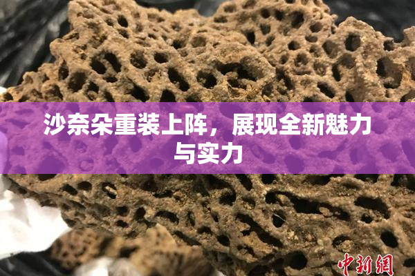 沙奈朵重装上阵，展现全新魅力与实力