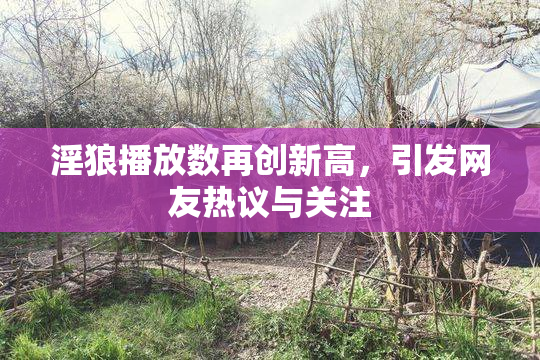 淫狼播放数再创新高，引发网友热议与关注