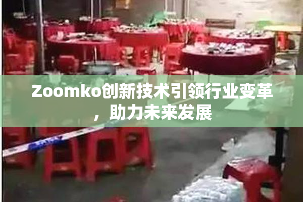 Zoomko创新技术引领行业变革，助力未来发展