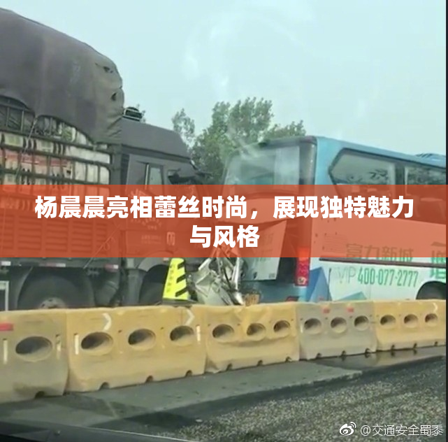 杨晨晨亮相蕾丝时尚，展现独特魅力与风格