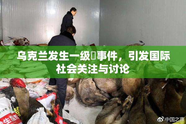 乌克兰发生一级婬事件，引发国际社会关注与讨论
