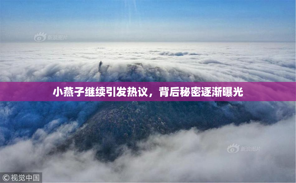 小燕子继续引发热议，背后秘密逐渐曝光