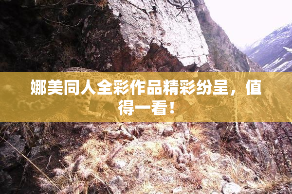 娜美同人全彩作品精彩纷呈，值得一看！