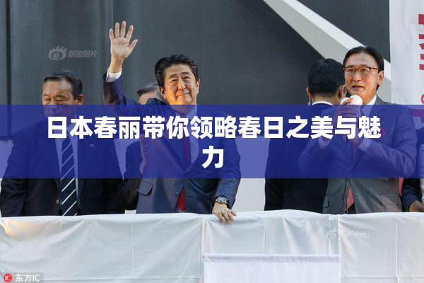 日本春丽带你领略春日之美与魅力