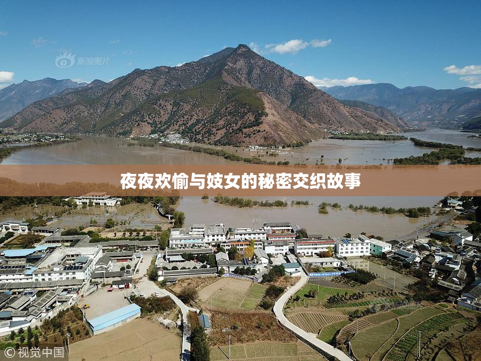 夜夜欢愉与妓女的秘密交织故事