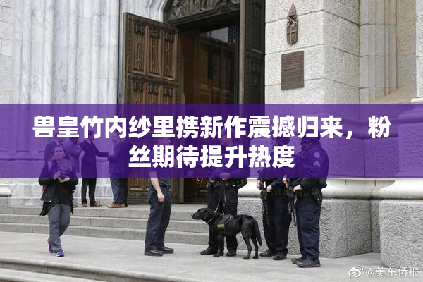 兽皇竹内纱里携新作震撼归来，粉丝期待提升热度
