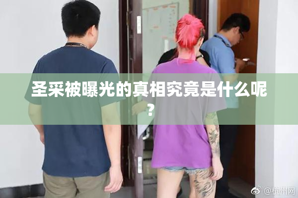 圣采被曝光的真相究竟是什么呢？
