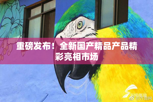 重磅发布！全新国产精品产品精彩亮相市场