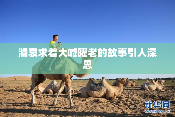 澜哀求着大喊曜老的故事引人深思