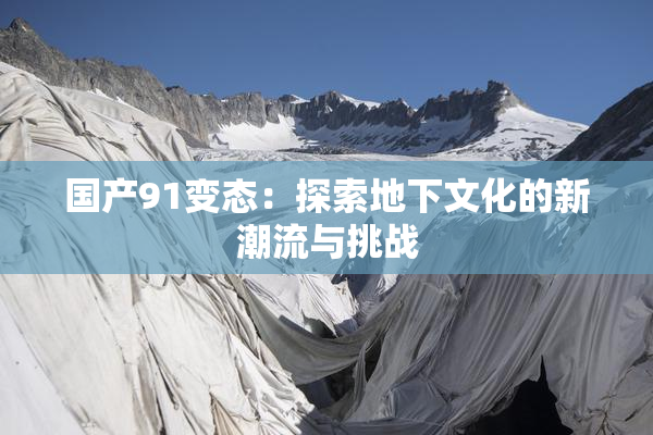 国产91变态：探索地下文化的新潮流与挑战