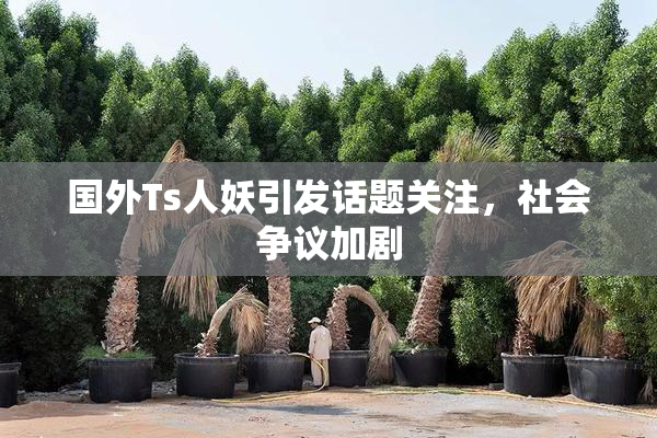 国外Ts人妖引发话题关注，社会争议加剧