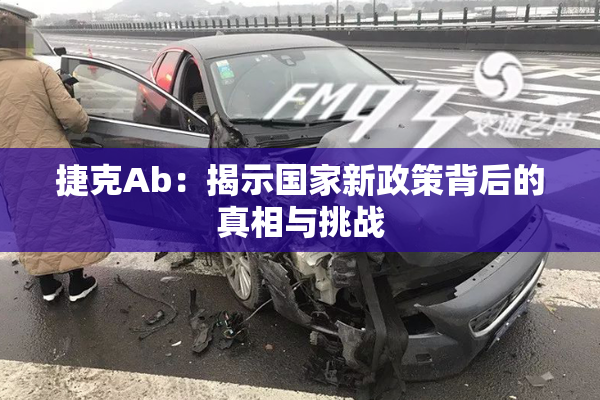 捷克Ab：揭示国家新政策背后的真相与挑战