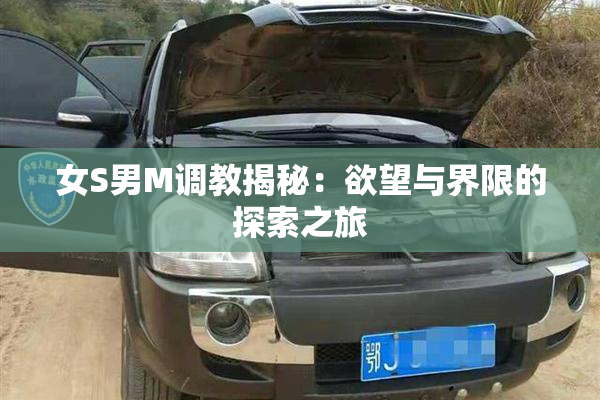 女S男M调教揭秘：欲望与界限的探索之旅