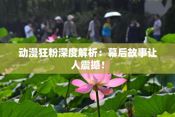 动漫狂粉深度解析：幕后故事让人震撼！