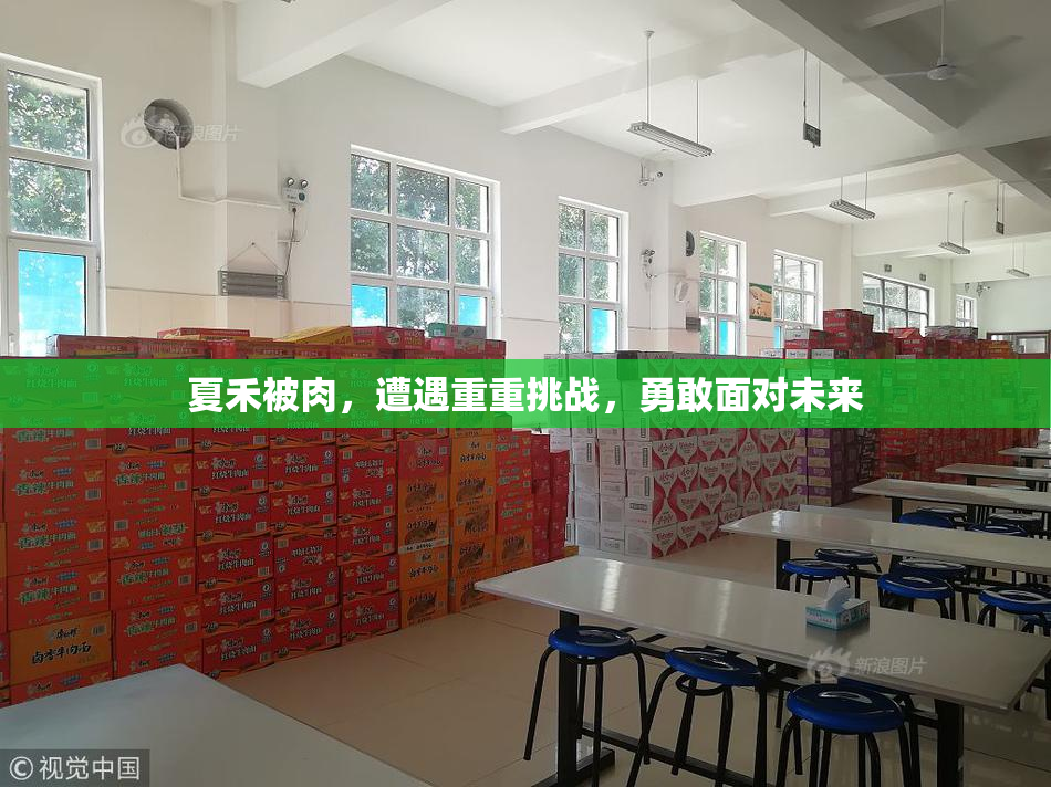 夏禾被肉，遭遇重重挑战，勇敢面对未来
