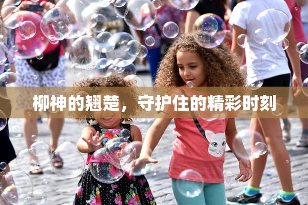 柳神的翘楚，守护住的精彩时刻
