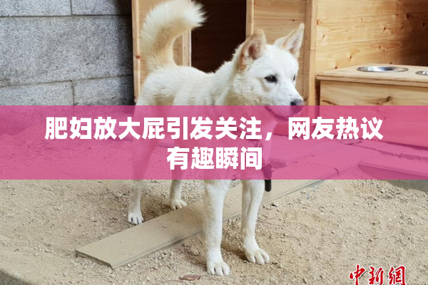 肥妇放大屁引发关注，网友热议有趣瞬间