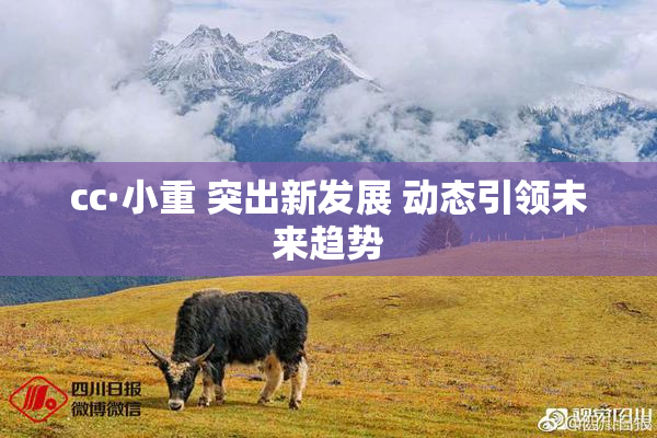 cc·小重 突出新发展 动态引领未来趋势