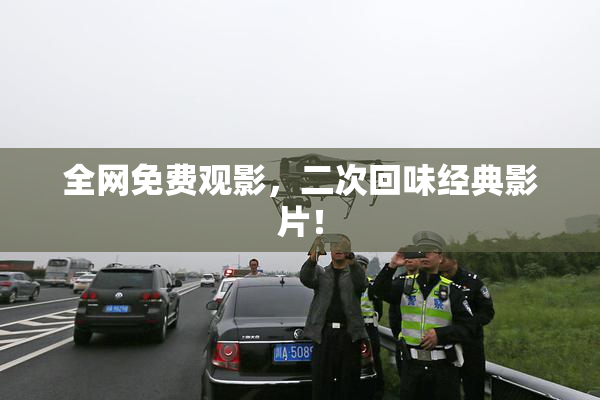 全网免费观影，二次回味经典影片！