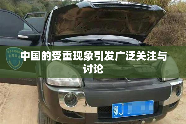 中国的受重现象引发广泛关注与讨论