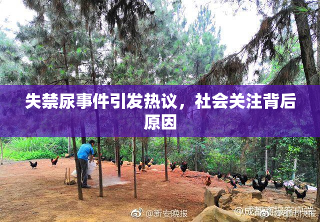失禁尿事件引发热议，社会关注背后原因