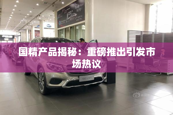 国精产品揭秘：重磅推出引发市场热议