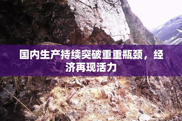 国内生产持续突破重重瓶颈，经济再现活力