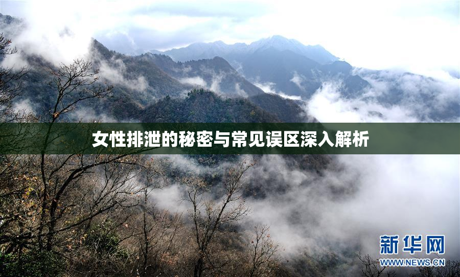 女性排泄的秘密与常见误区深入解析