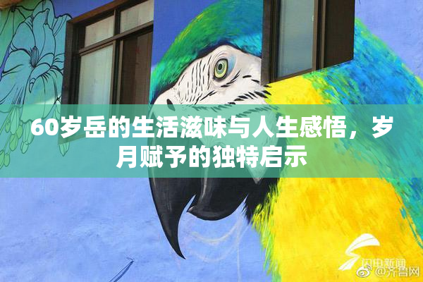 60岁岳的生活滋味与人生感悟，岁月赋予的独特启示
