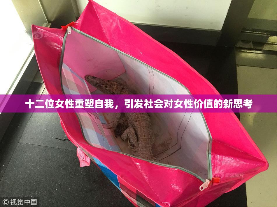 十二位女性重塑自我，引发社会对女性价值的新思考