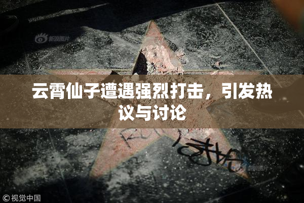云霄仙子遭遇强烈打击，引发热议与讨论