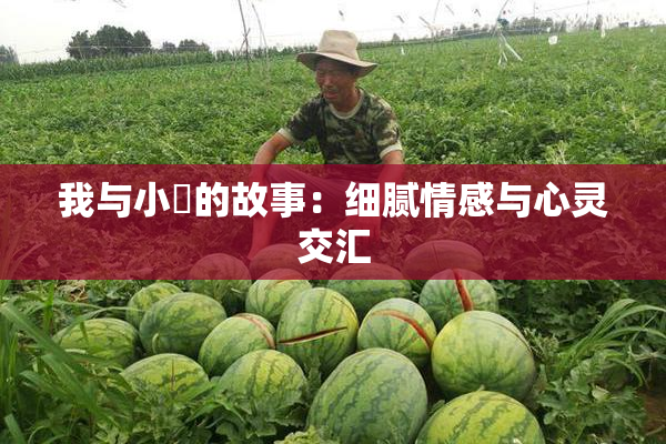 我与小娻的故事：细腻情感与心灵交汇