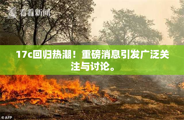 17c回归热潮！重磅消息引发广泛关注与讨论。