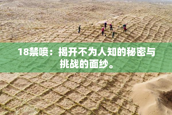 18禁喷：揭开不为人知的秘密与挑战的面纱。