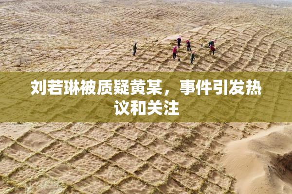 刘若琳被质疑黄某，事件引发热议和关注