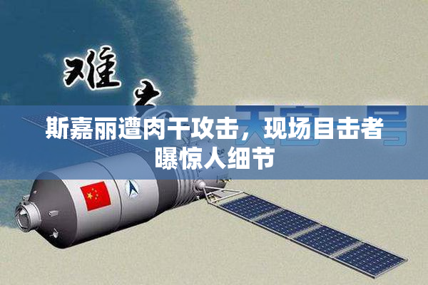 斯嘉丽遭肉干攻击，现场目击者曝惊人细节