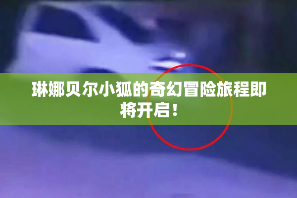 琳娜贝尔小狐的奇幻冒险旅程即将开启！