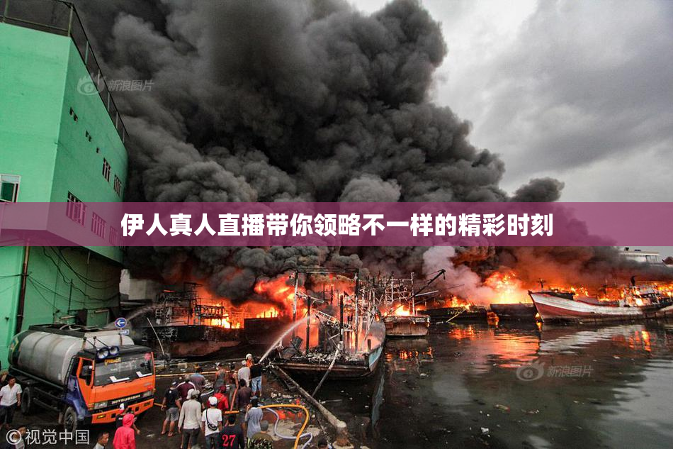 伊人真人直播带你领略不一样的精彩时刻