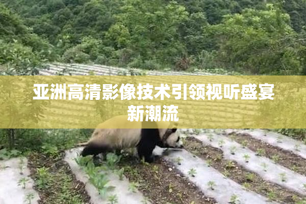 亚洲高清影像技术引领视听盛宴新潮流