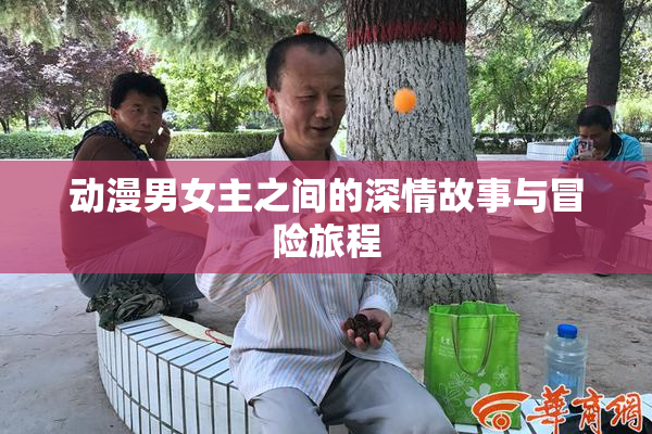 动漫男女主之间的深情故事与冒险旅程