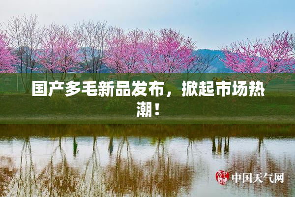 国产多毛新品发布，掀起市场热潮！