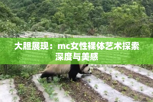 大胆展现：mc女性裸体艺术探索深度与美感