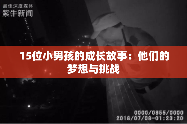 15位小男孩的成长故事：他们的梦想与挑战