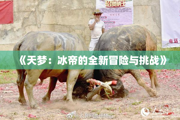 《天梦：冰帝的全新冒险与挑战》